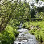 Tannenheim שלוכזי