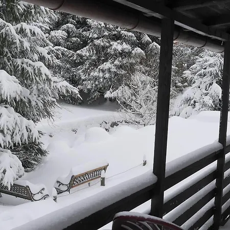 Tannenheim 3* Schluchsee