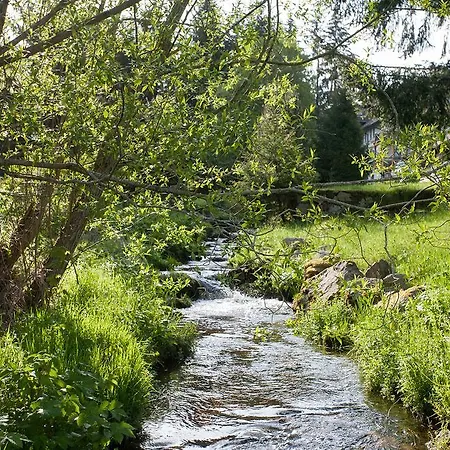 Tannenheim Schluchsee