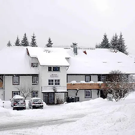 Hotel Tannenheim 3*