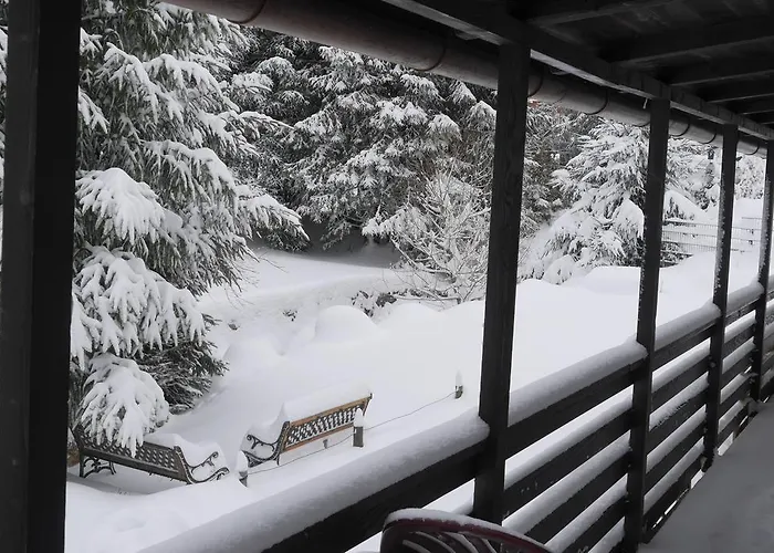 Tannenheim 3* Schluchsee