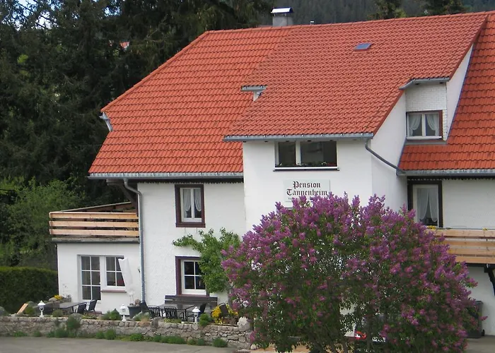 Tannenheim Schluchsee